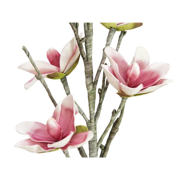 Vejica Magnolia (EVA) bela roza EUROPALMS