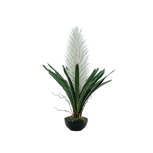 EUROPALMS Magic Bromelie, white, 100cm