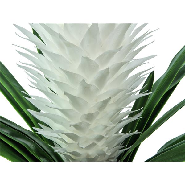 EUROPALMS Magic Bromelie, white, 100cm