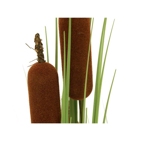 EUROPALMS Bulrush, alrtificial plant, 150cm