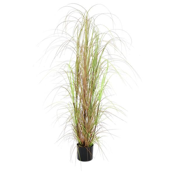 EUROPALMS Grass bush, 150cm