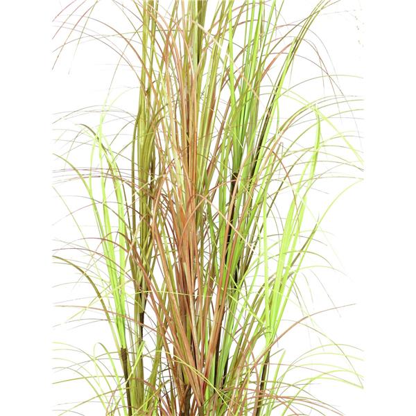 EUROPALMS Grass bush, 150cm