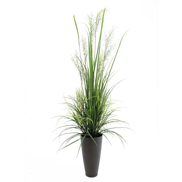 EUROPALMS River grass April, 175cm