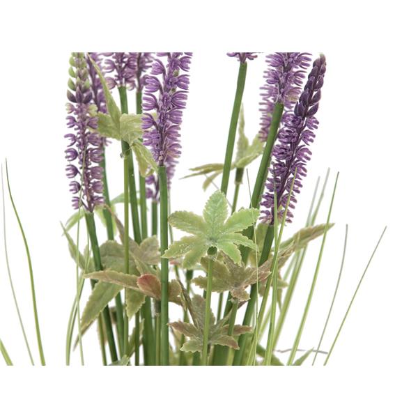 EUROPALMS Lavender grass, 46cm