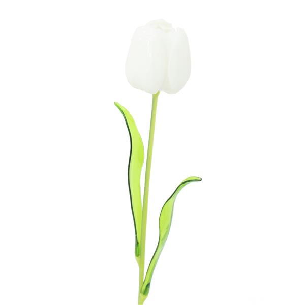 EUROPALMS Crystal tulip, white 61cm 12x