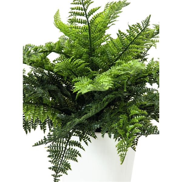 EUROPALMS Fern bush in pot, 51 leaves, 48cm