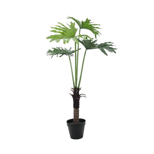 EUROPALMS Split Philo Plant, 120cm