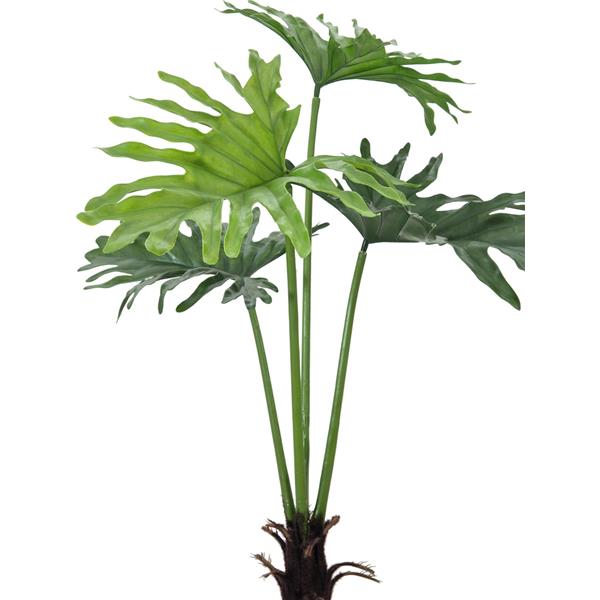 Split Philo rastlina 120cm EUROPALMS