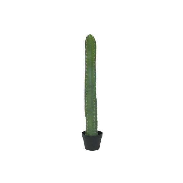 Mehiški kaktus zelen 97cm EUROPALMS