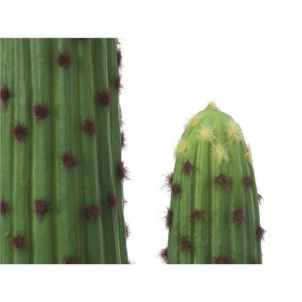 Mehiški kaktus 117cm EUROPALMS
