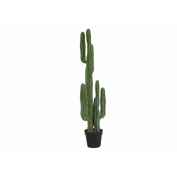 Mehiški kaktus 123cm EUROPALMS
