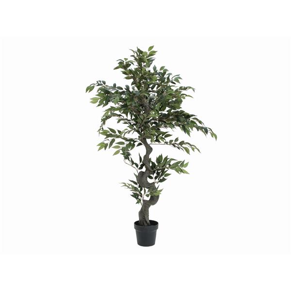 EUROPALMS Ficus Forest Tree, 110cm