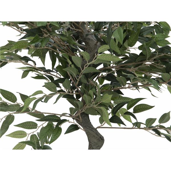 EUROPALMS Ficus Forest Tree, 110cm