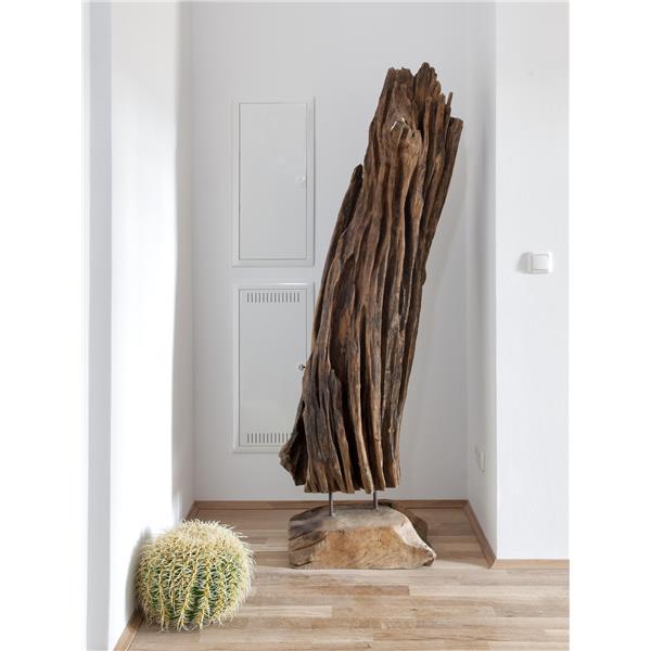EUROPALMS Barrel Cactus, 37cm
