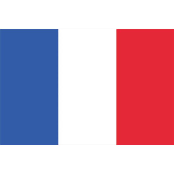 Zastava Francija 600x360cm EUROPALMS