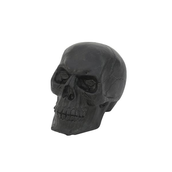 EUROPALMS Skull, black