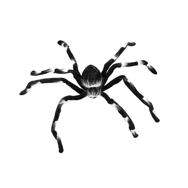 EUROPALMS Halloween spider 70x14x5cm
