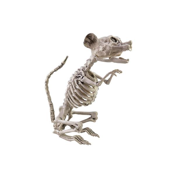 EUROPALMS Halloween Skeleton Rat, 32x10x16cm