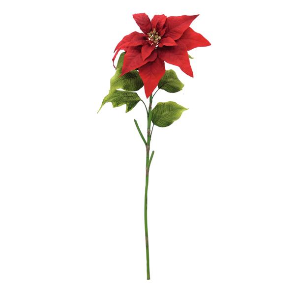 EUROPALMS Poinsettia, red, 70cm