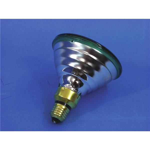 OMNILUX PAR-38 230V/80W E-27 FL green